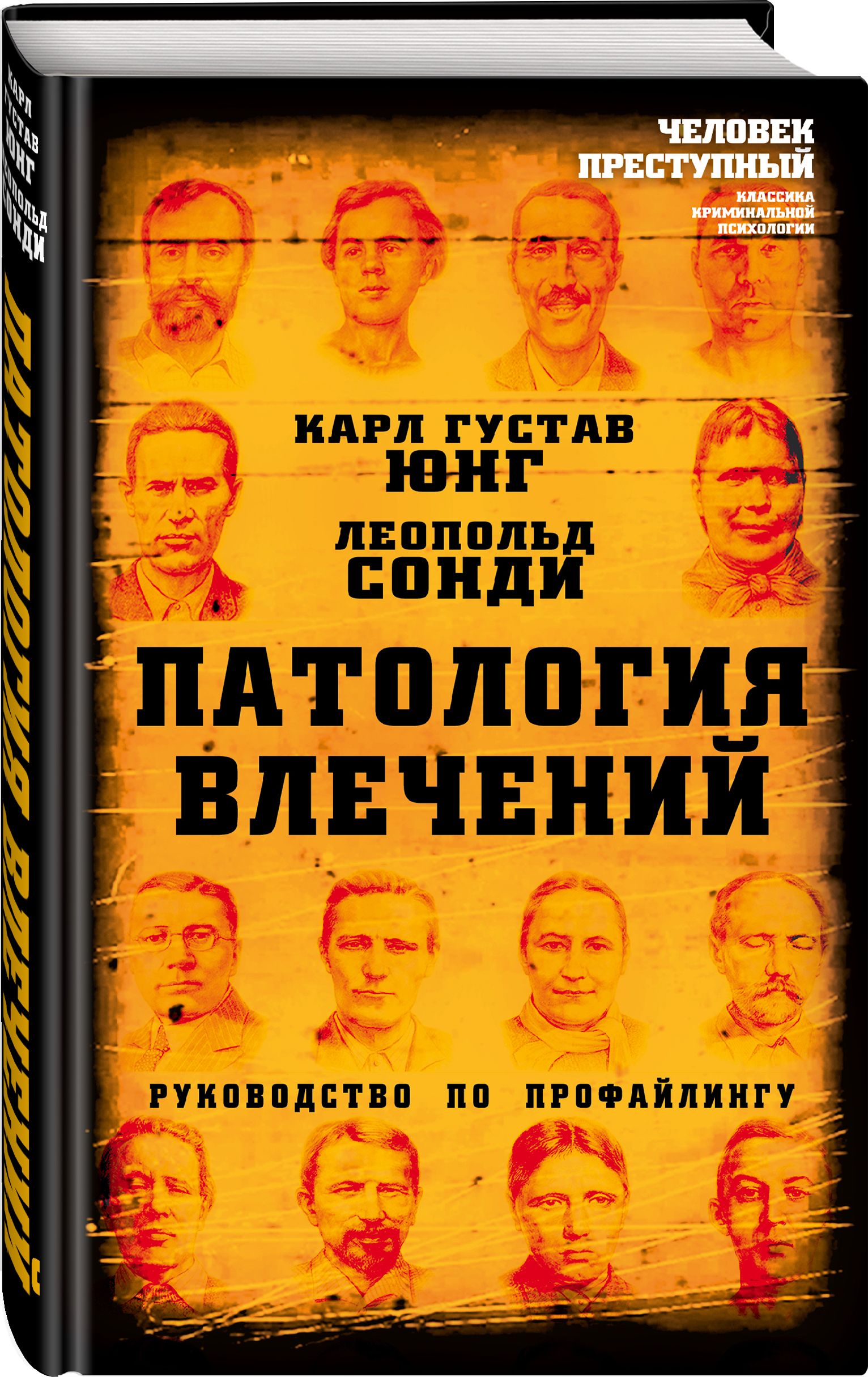 Патология влечений. Руководство по профайлингу | Юнг Карл Густав, Сонди  Леопольд - купить с доставкой по выгодным ценам в интернет-магазине OZON  (325137731)