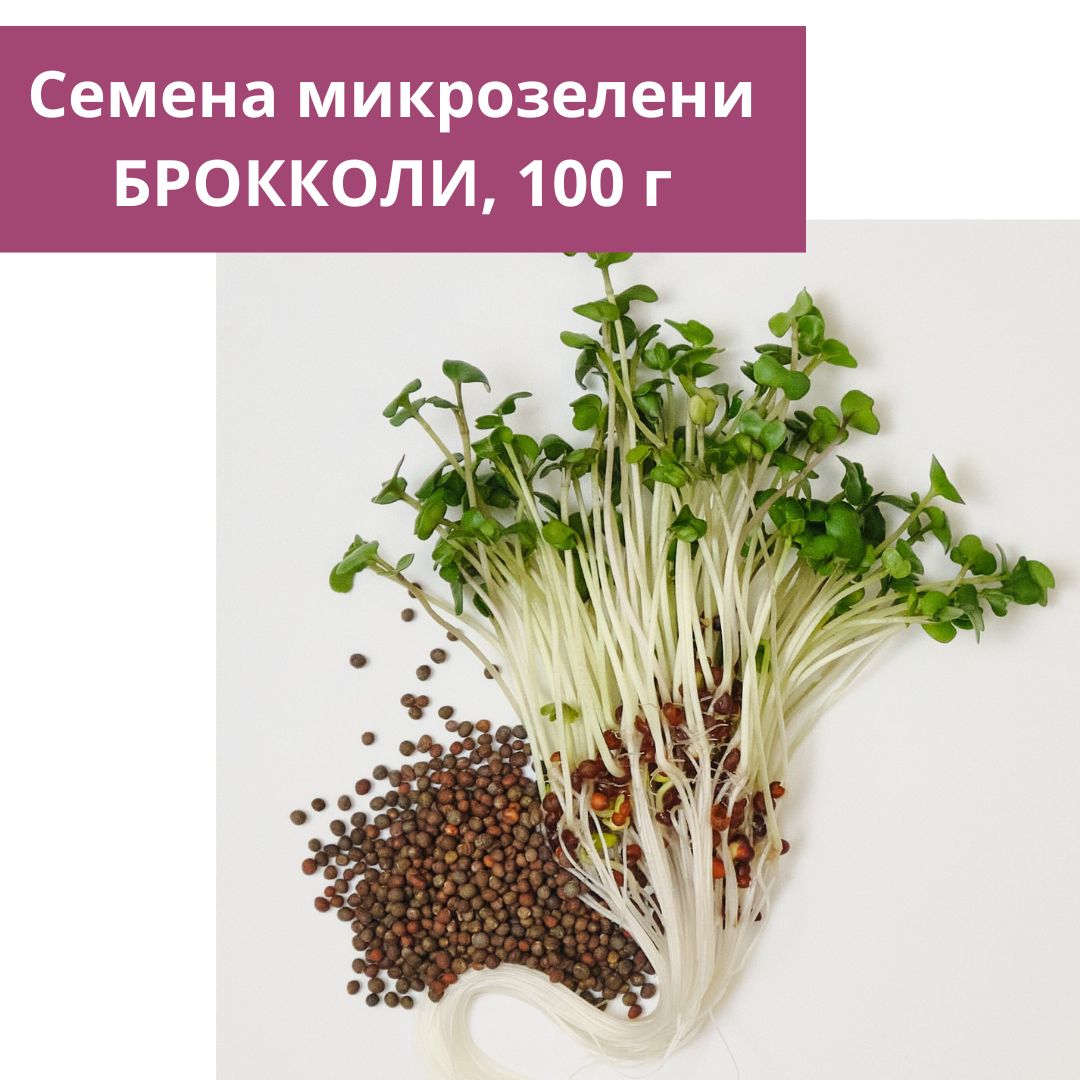 Тюмень Где Купить Семена Брокколи