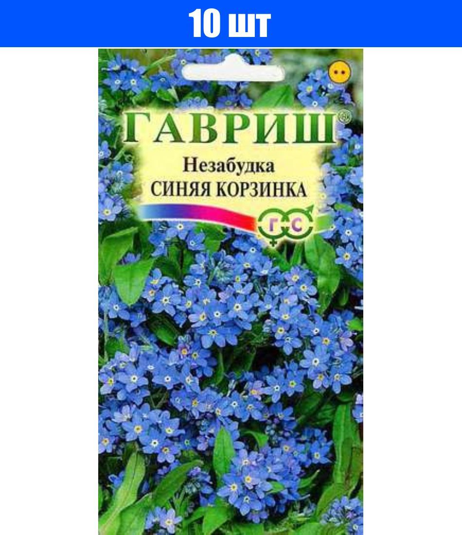 Берег Мертвых Незабудок Купить Книгу