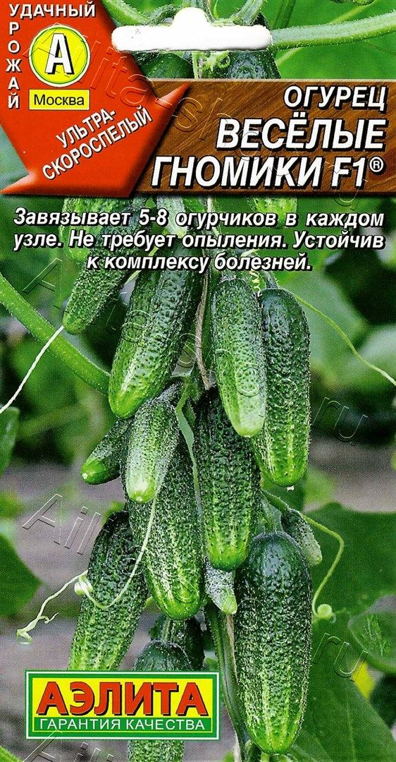 Веселые гномики f1. Веселые гномики f1