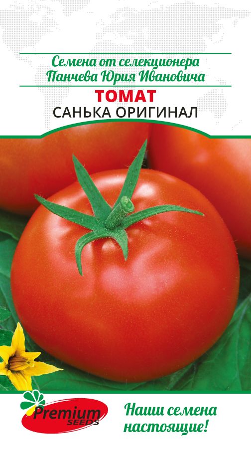 Сорт томатов санек фото и характеристики