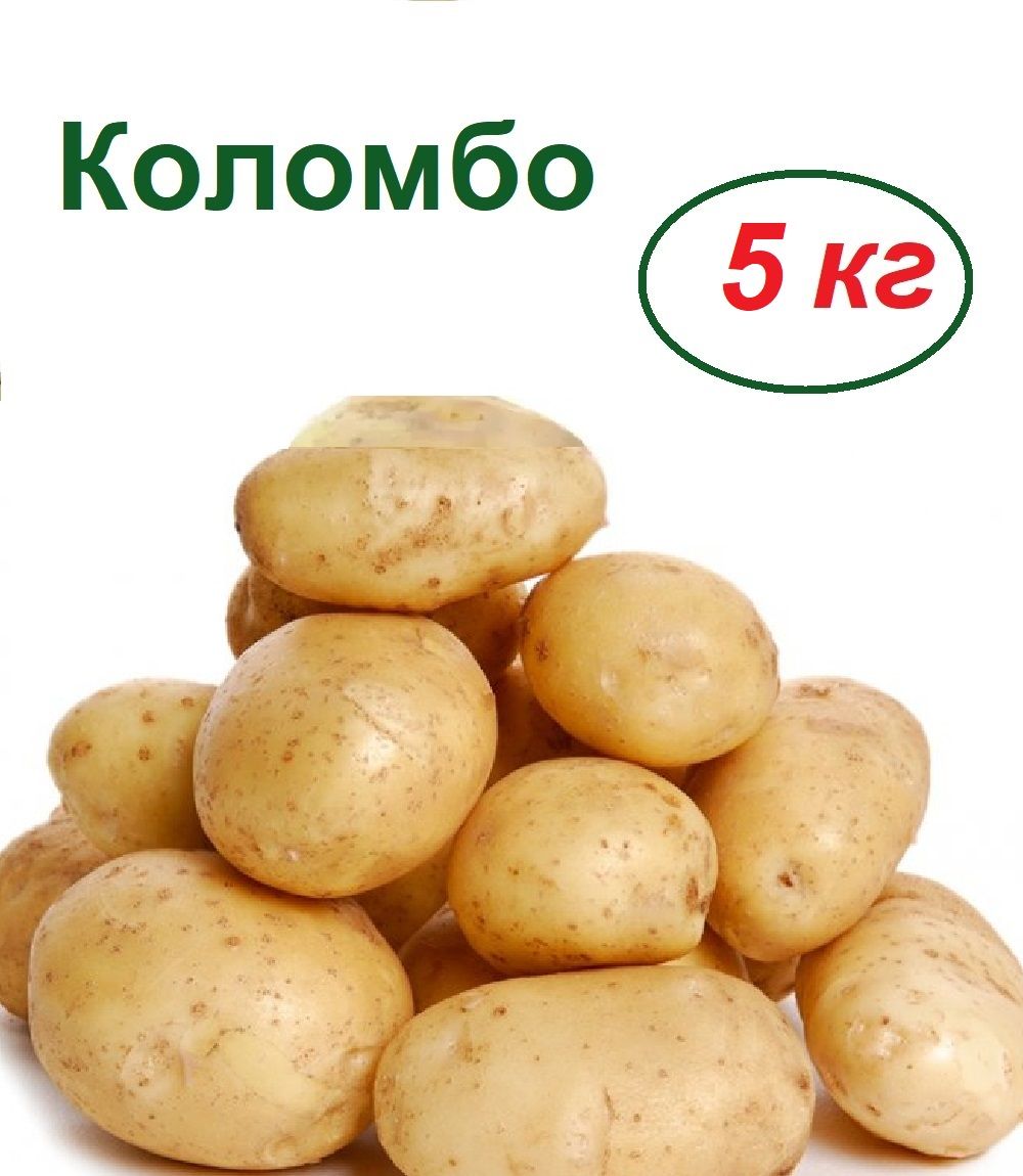 Картошка Коломбо Фото