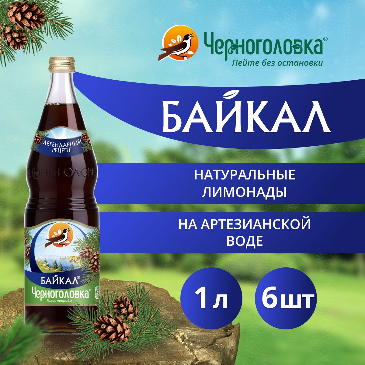 ЛимонадыигазированныенапиткиЧерноголовка