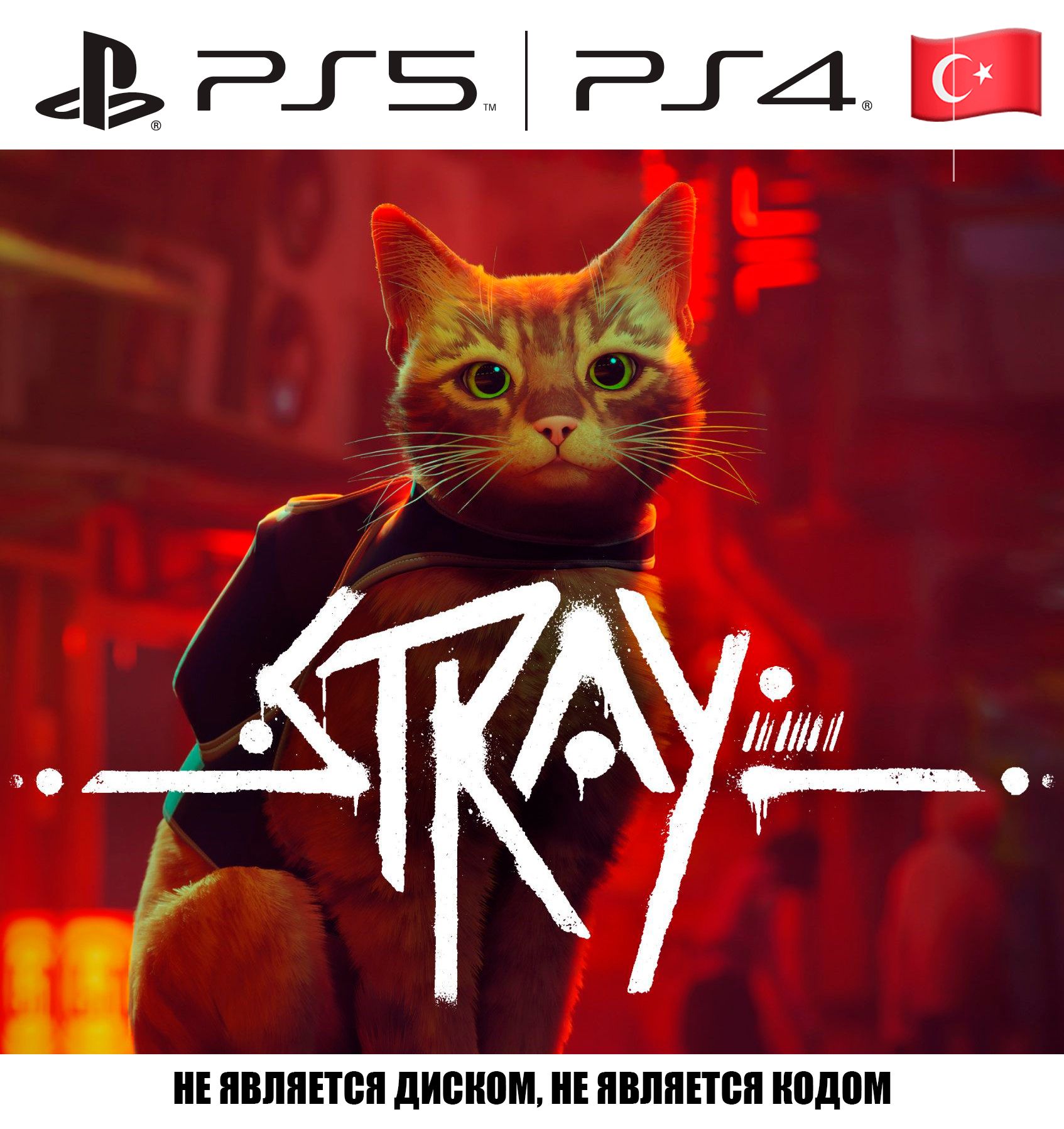 Stray ps. Игра три кота. Stray ps5 обложка. Видеоигры для кошек. Обложка кота по игре Stray для профиля ВКОНТАКТЕ.