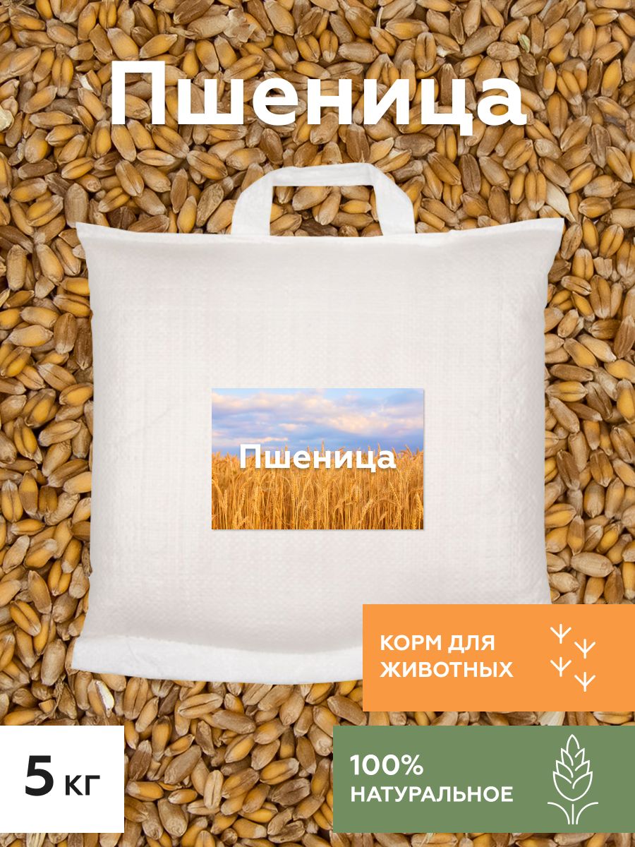 Кормовая Пшеница для Кур купить на OZON по низкой цене
