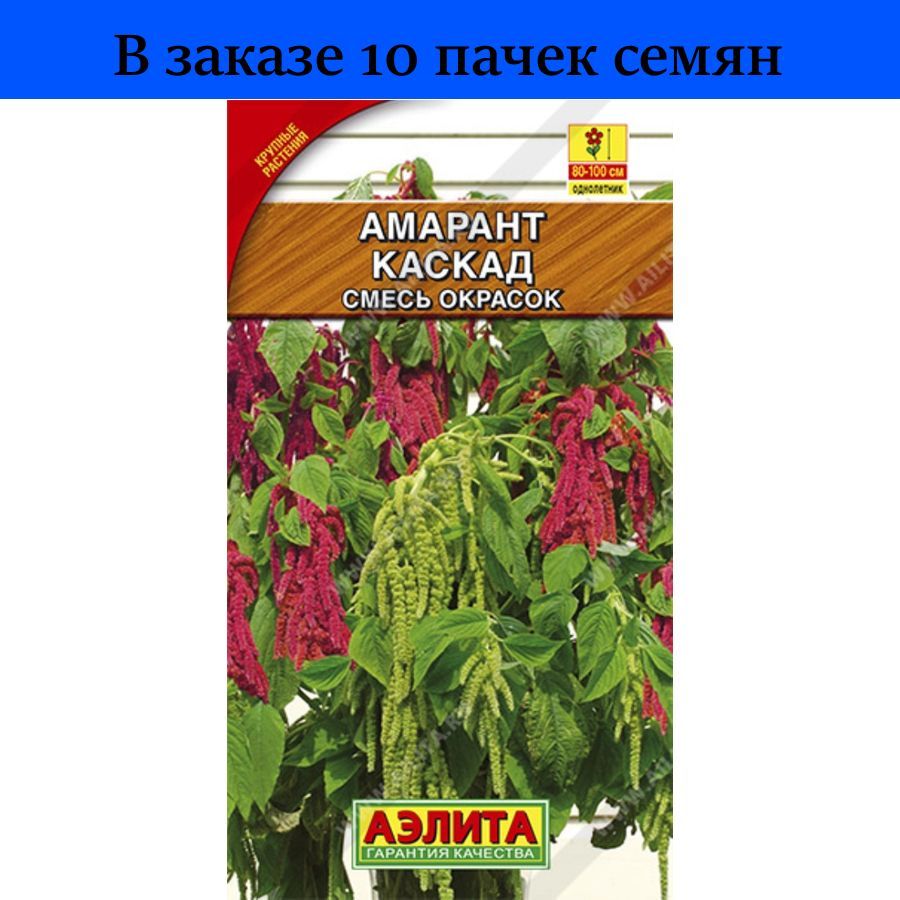 Амарант ул маршала жукова 41а фото Характеристики Амарант Каскад 0.5г смесь Одн 80см (Аэлита) - 10 пачек / для откр