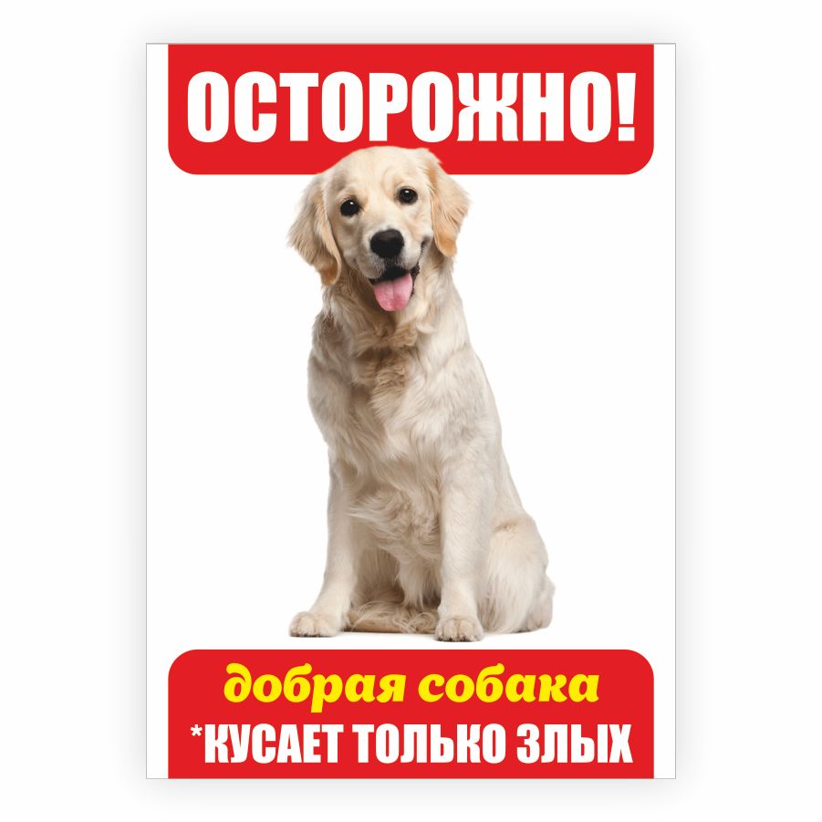 Табличка, осторожно злая собака, прикол, на дверь, на забор, 18 см, 25 см -  купить в интернет-магазине OZON по выгодной цене (826897748)