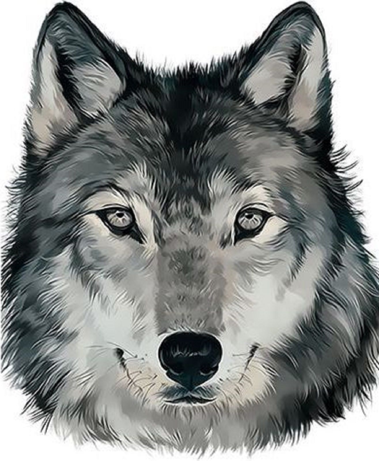 Волк для распечатки цветной