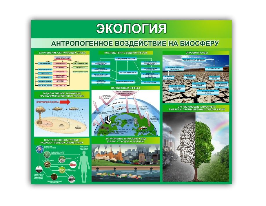 По рисунку 205 опишите природные и природно антропогенные комплексы японии найдите на карте города