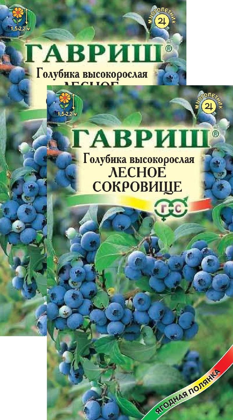 Голубика Гавриш Голубика высокорослая Лесное сокровище (30 семян), 2 пакета  - купить по выгодным ценам в интернет-магазине OZON (833982577)