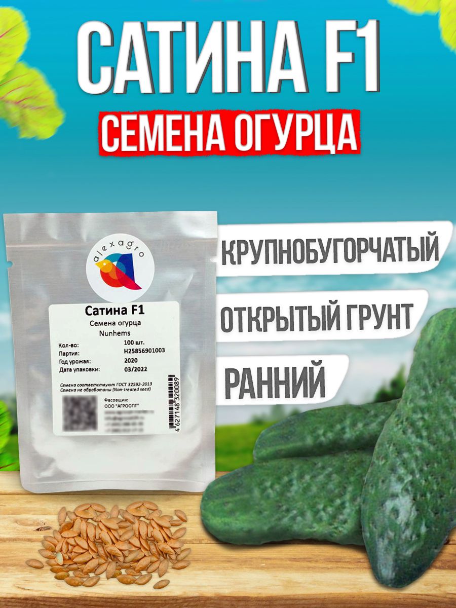 Огурцы Сатина Отзывы Фото