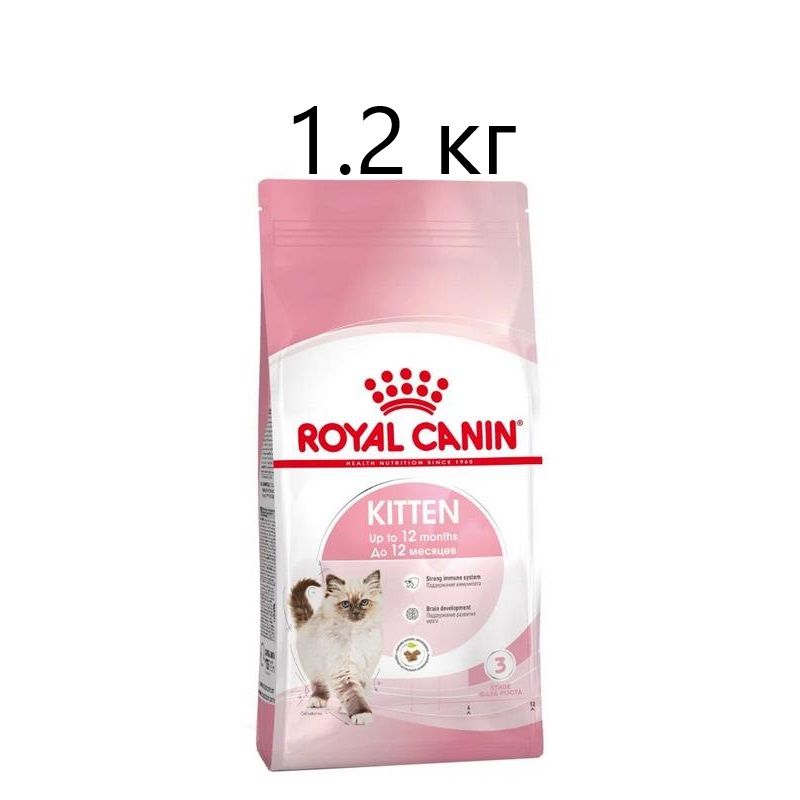 Роял канин котята 2 кг. Влажный корм для котят сфинксов. Royal Canin Kitten Sphynx.