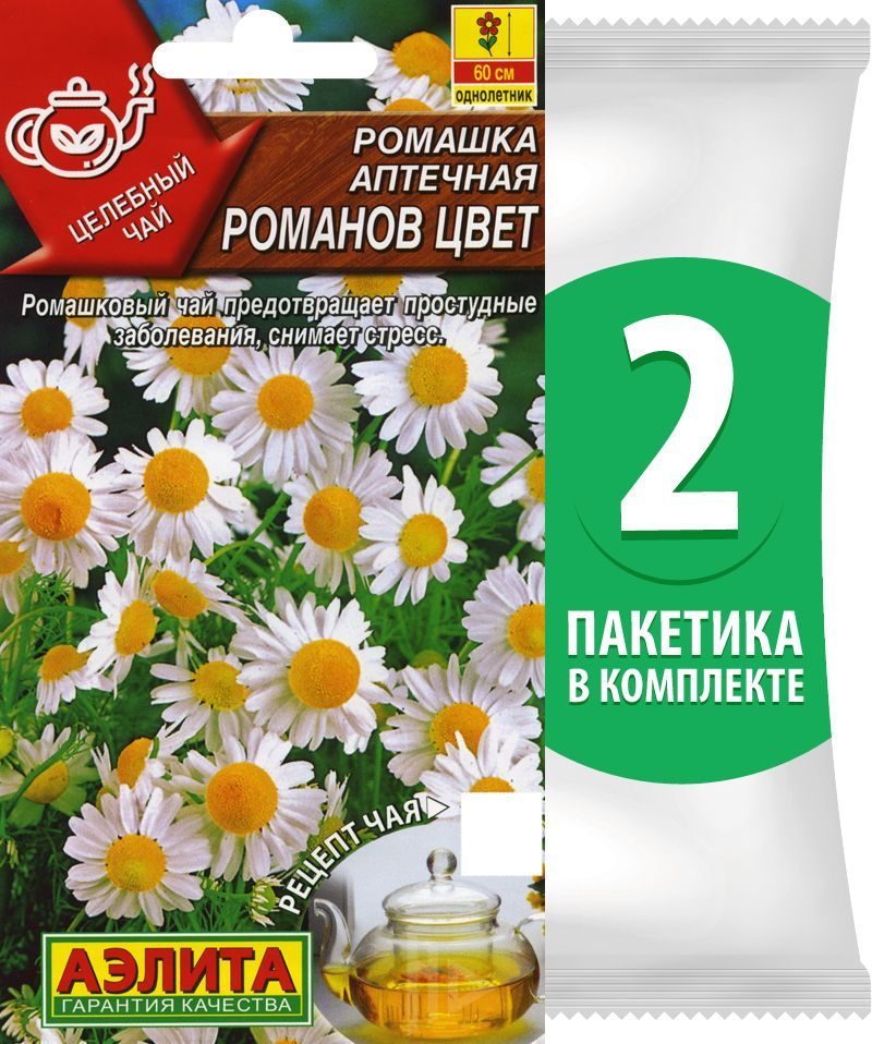 Ромашка в пакетиках аптека. Семена ромашки. Ромашка Иваново. Ромашки в Новосибирске. Тип плода Ромашка аптечная.