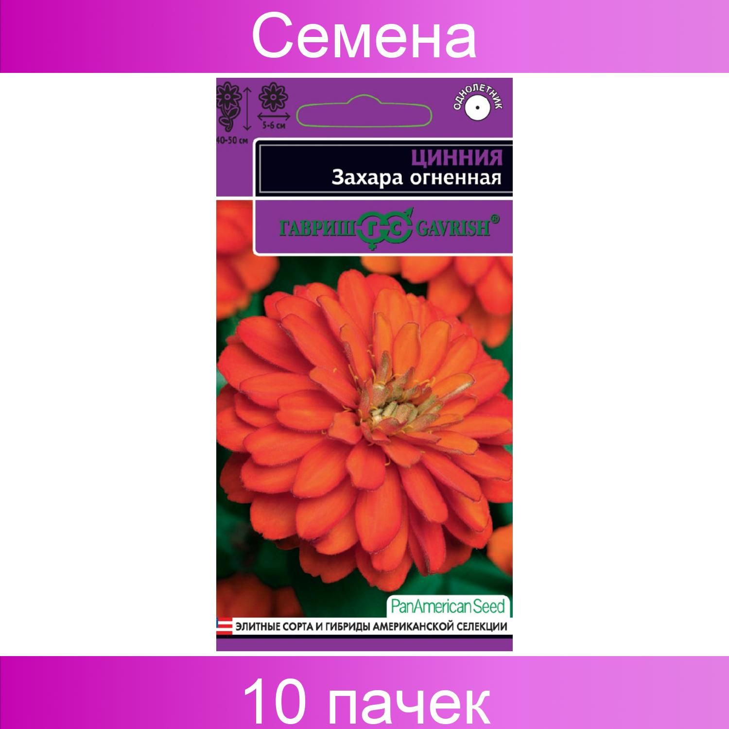 Серия карликовых <b>цинний</b> нового поколения для любительского и профессиональн...