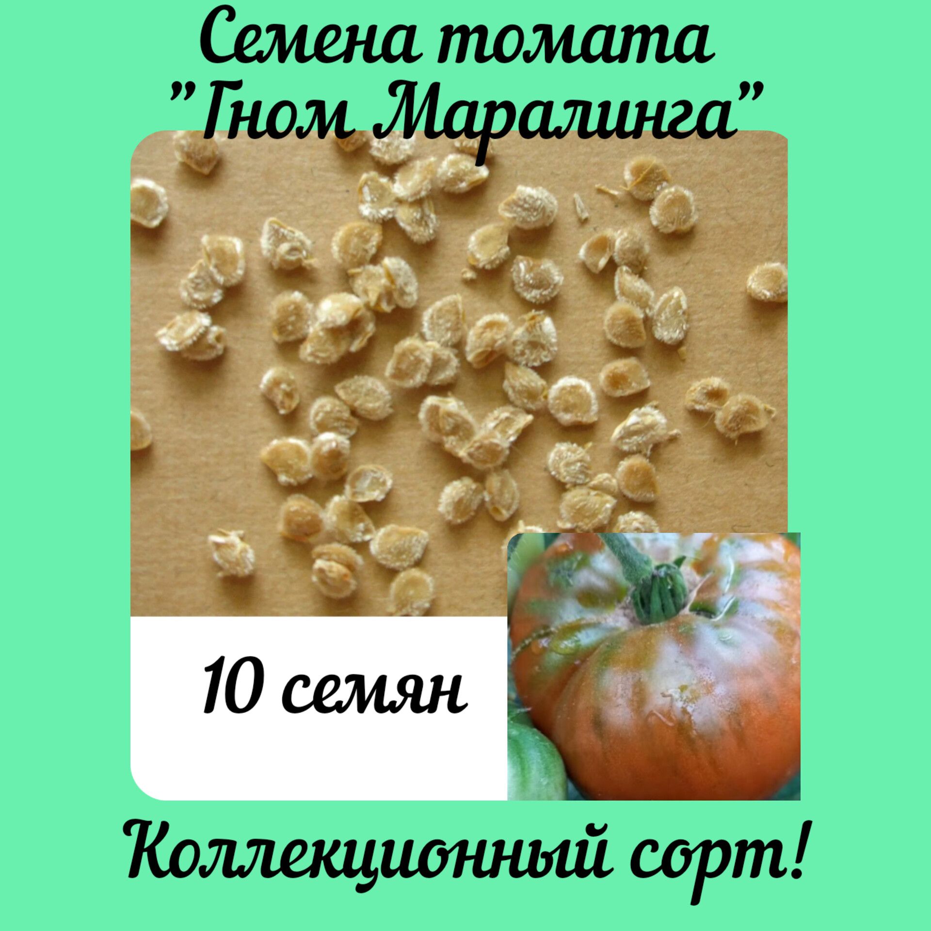 Томаты Гномы Сорта Фото Отзывы