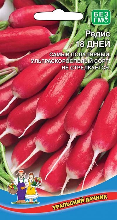 Редис не стрелкуется сорта. Редис красный великан уд. редис марс. редис 18 дней. редис ультраскороспелый уральский дачник.