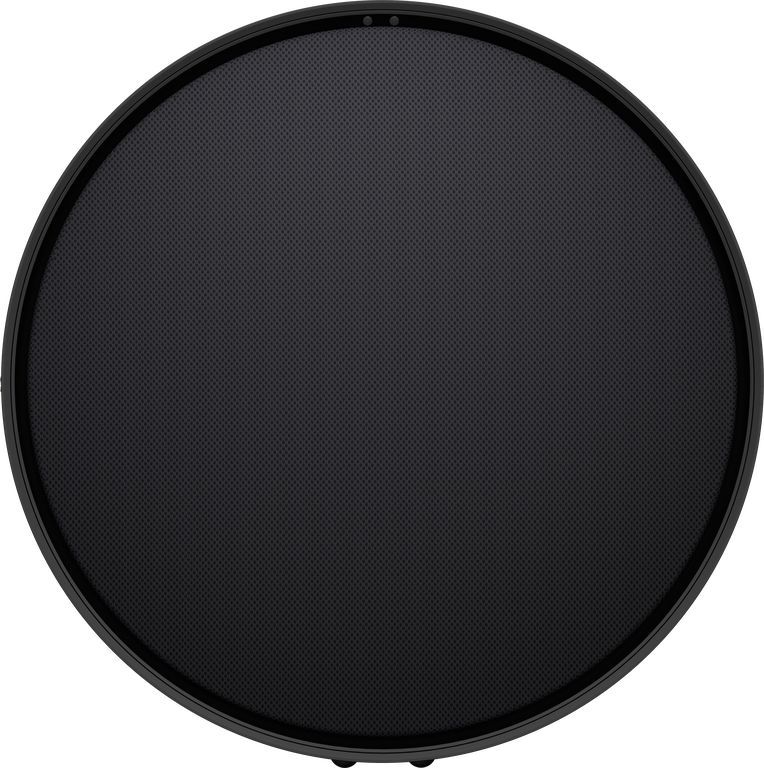 Large black