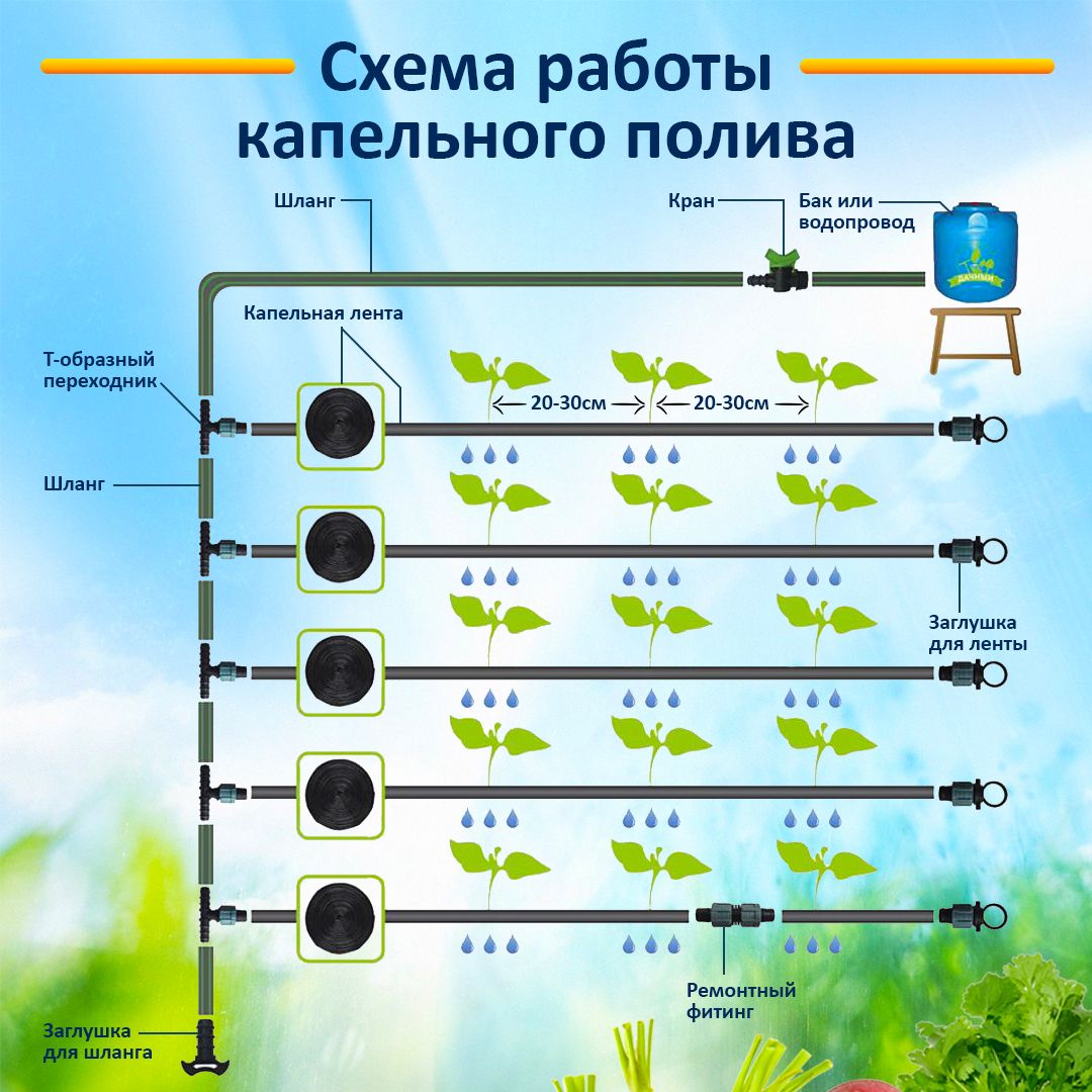 Схема подключения системы капельного полива. Схема подключения капельного полива с таймером. Схема сборки капельного полива с таймером. Схема подключения капельного полива к водопроводу.