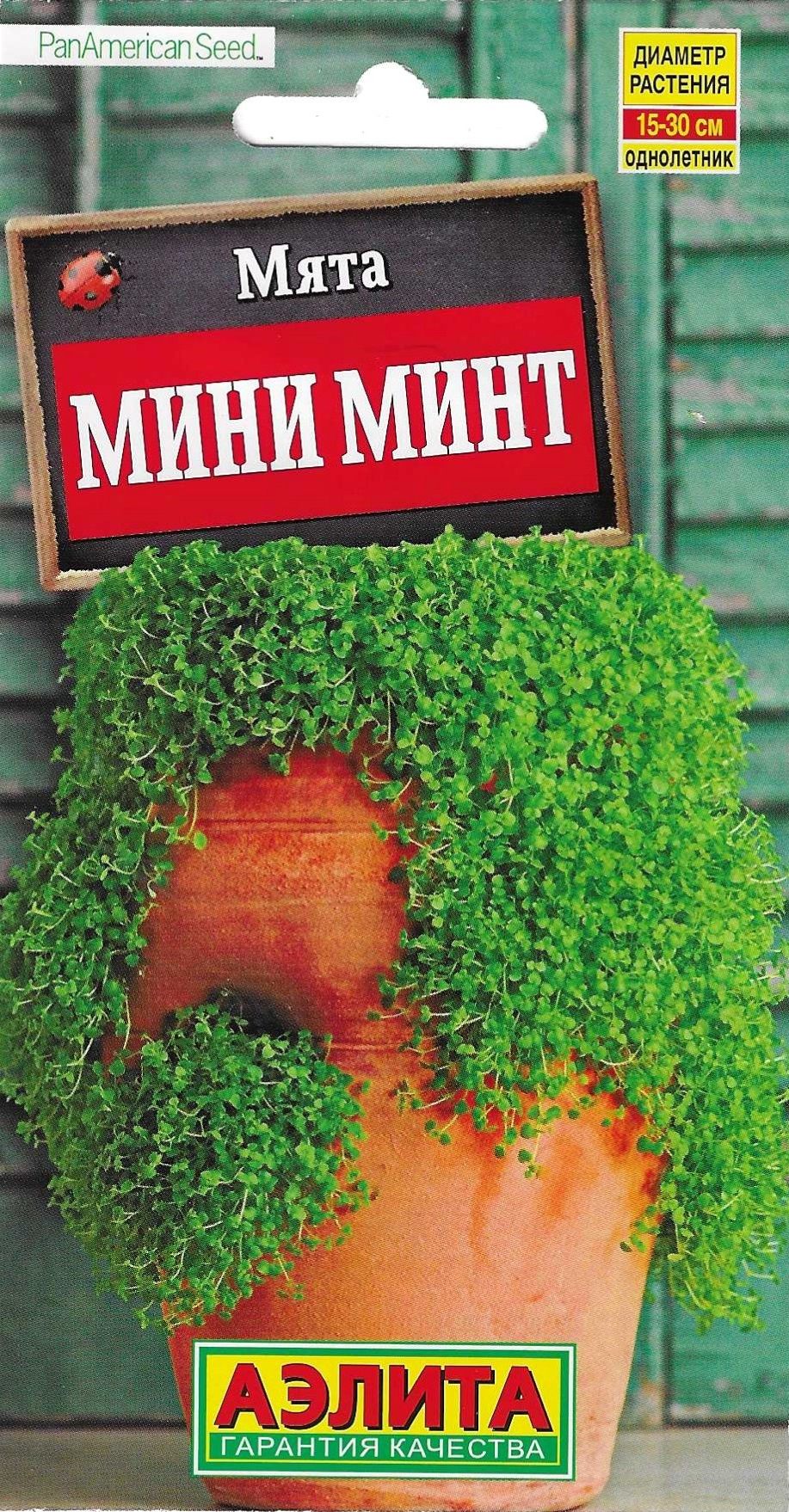 Микро мята