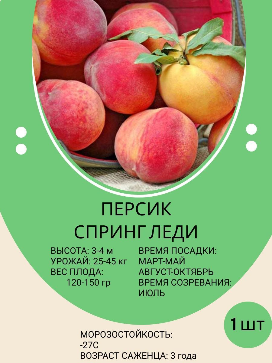 Саженцы Персика Купить В Тамбове