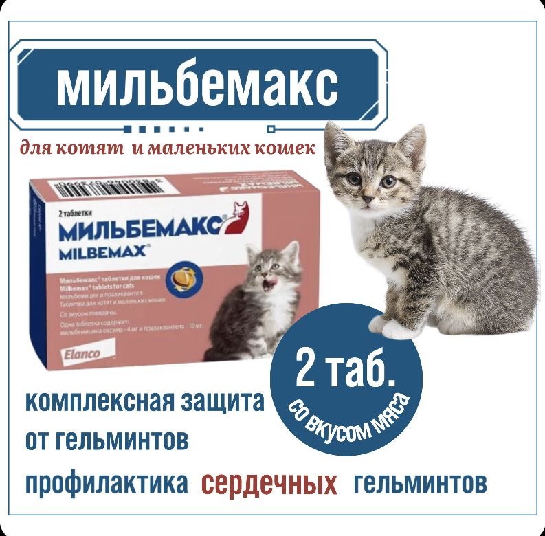 Elanco мильбемакс для котят и молодых кошек