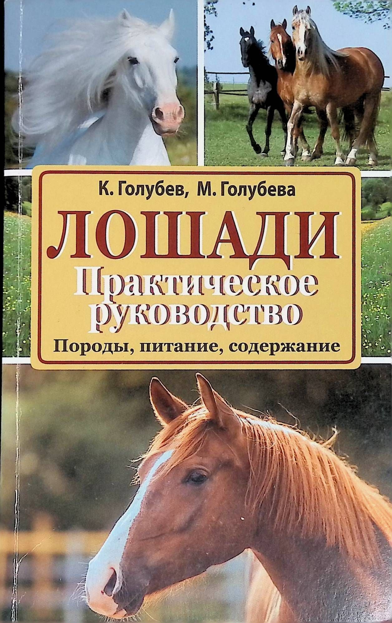 Купить Книгу Коневодство В Ссср