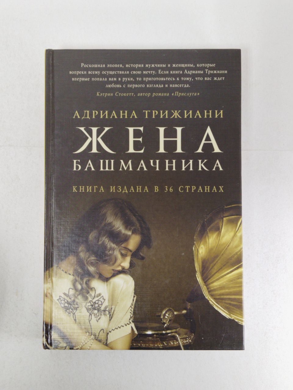 Читать книги жена башмачника. Жена башмачника книга. Жена башмачника книга обложка. Дочь башмачника книга.