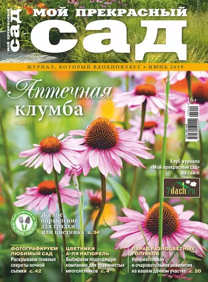 Мой прекрасный сад No06/2019 | Электронная книга