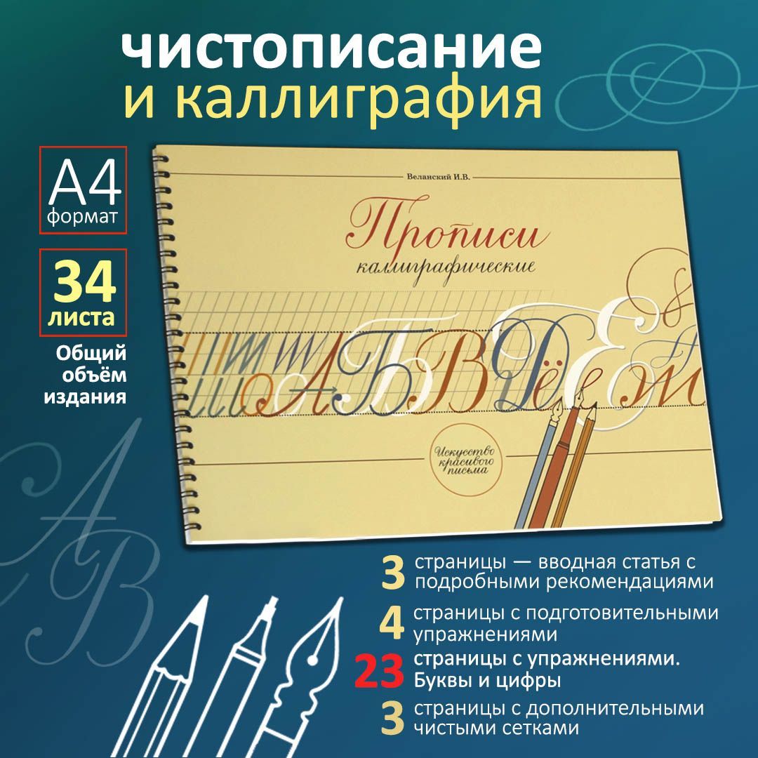 Прописи каллиграфические. Чистописание и каллиграфия. Прописи Веланского -  купить с доставкой по выгодным ценам в интернет-магазине OZON (484581442)