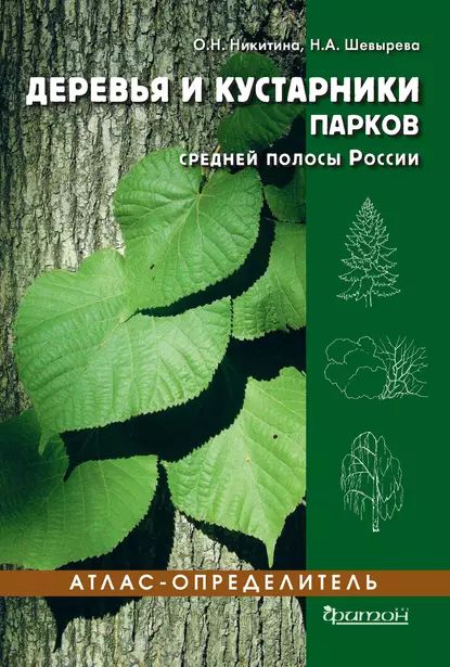 Деревья и кустарники парков средней полосы России | Никитина Ольга, Шевырева Наталья Александровна | Электронная книга