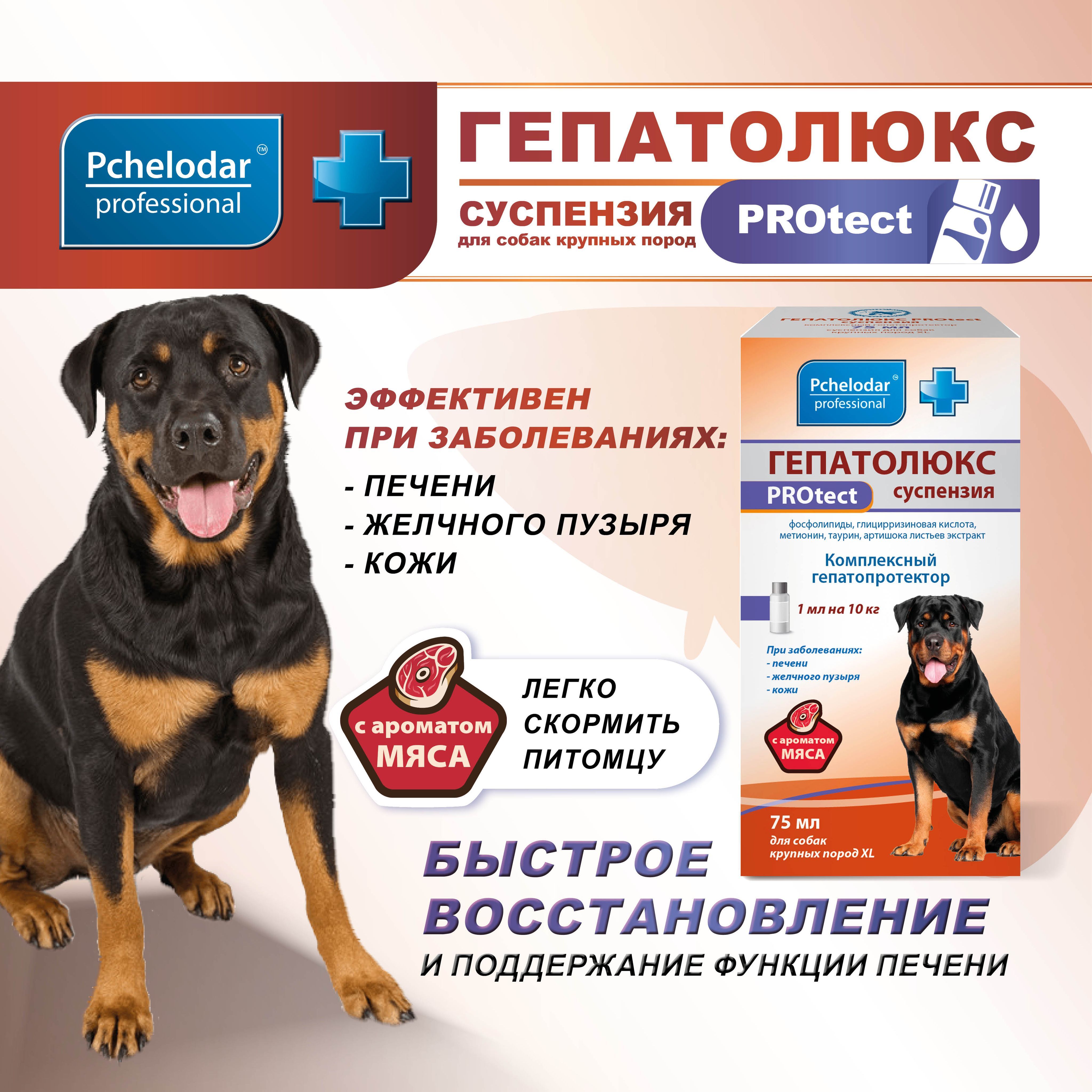 Гепатолюкс для собак купить. Гепатолюкс для собак. Гепатолюкс таблетки для собак. Гепатолюкс дерма для собак. Гепатолюкс таблетки для собак инструкция.
