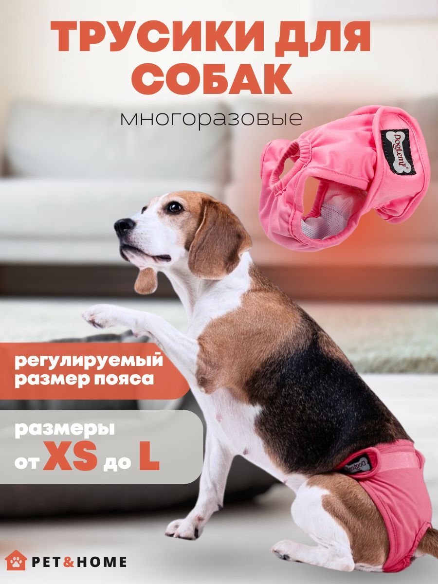 Трусы для собаки во время течки PET&HOME, подгузник для собак, розовый,  размер XS - купить с доставкой по выгодным ценам в интернет-магазине OZON  (640159479)