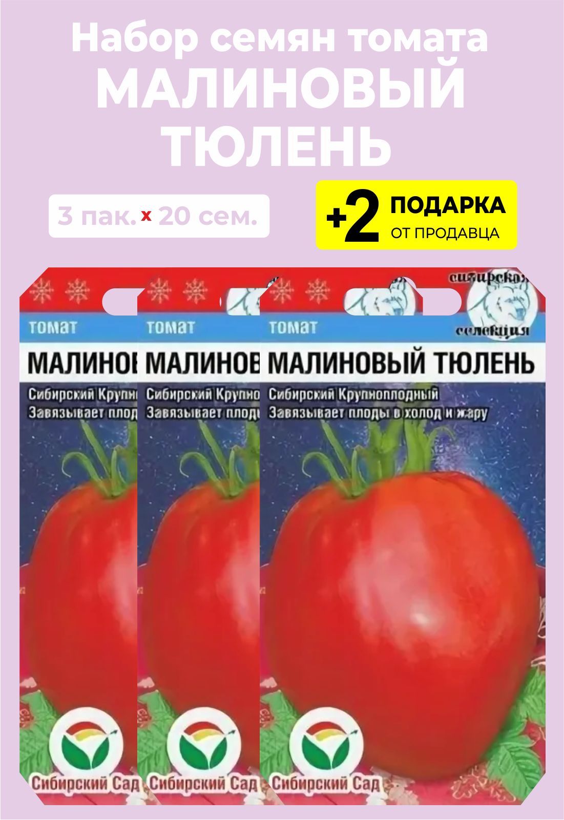 Помидоры малиновый тюлень. Малиновый тюлень томат Сибирский сад. Малиновый тюлень томат описание. Томат Сибирский малиновый тюлень описание.