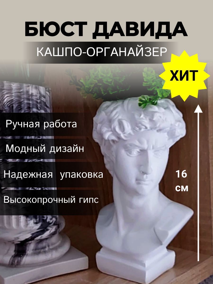Органайзер Бюст Давида – купить в интернет-магазине OZON по низкой цене