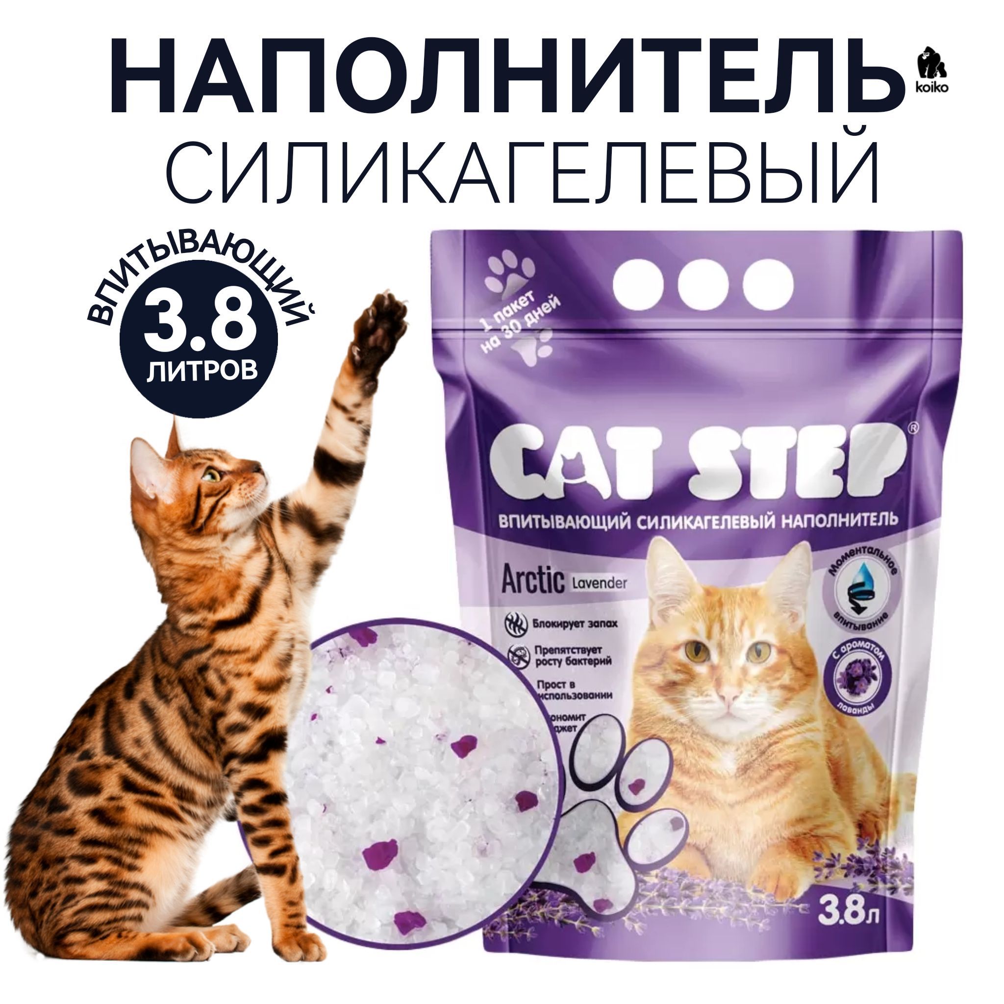 Кошка ест наполнитель для туалета силикагель