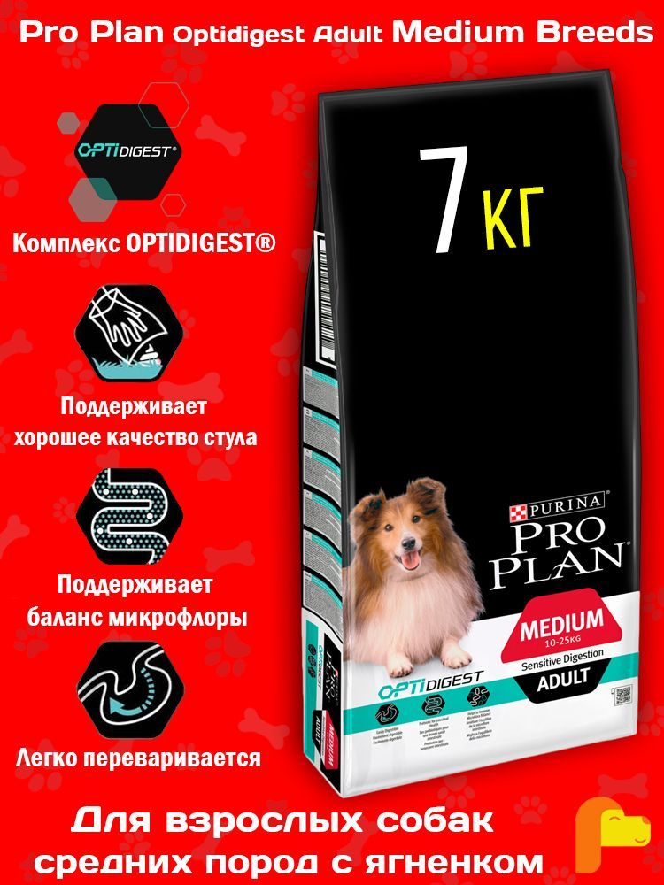 Питание собаки с чувствительным пищеварением