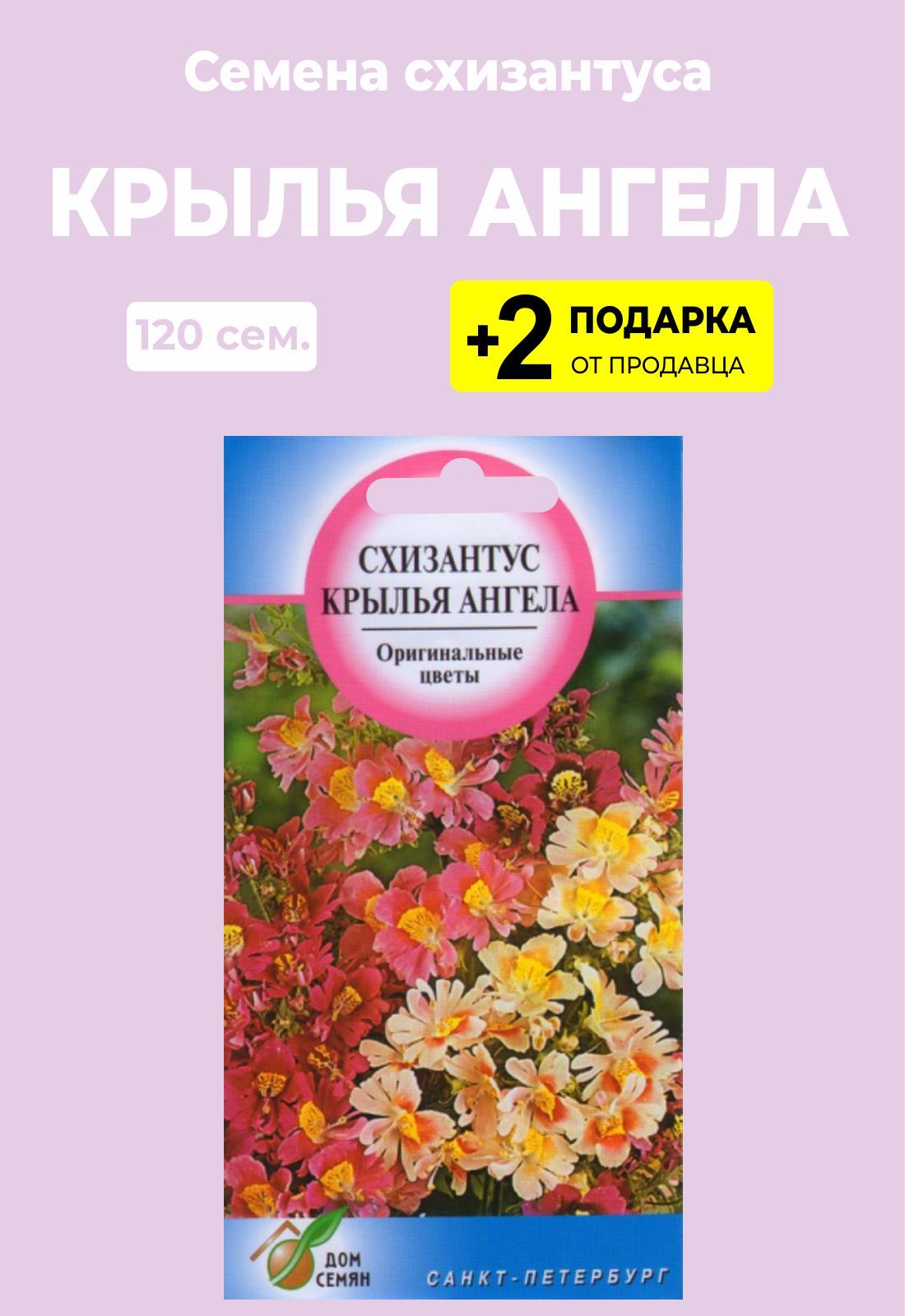 Схизантус Купить Семена В Партнере
