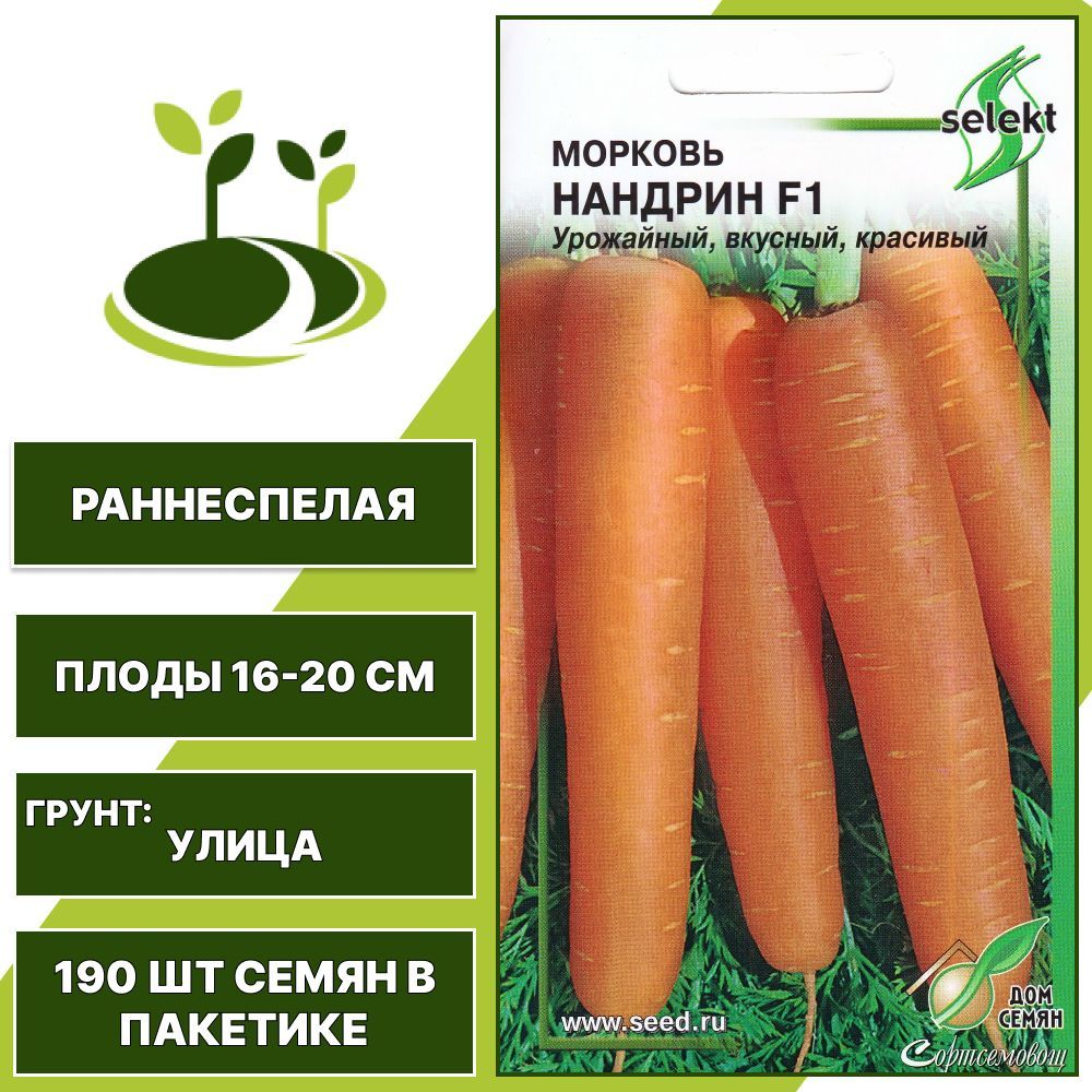 Морковь нандрин. Домик морковка. Морковь Нандрин среднеспелая отзывы характеристика и урожайность. Морковь Нандрин Палтимор и Канада показать картинку.