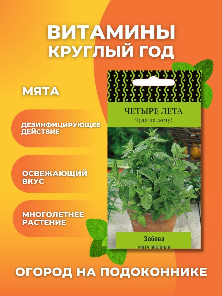 ПОИСК Агрохолдинг Seed_Мята овощная - купить по выгодным ценам в  интернет-магазине OZON (1030702446)