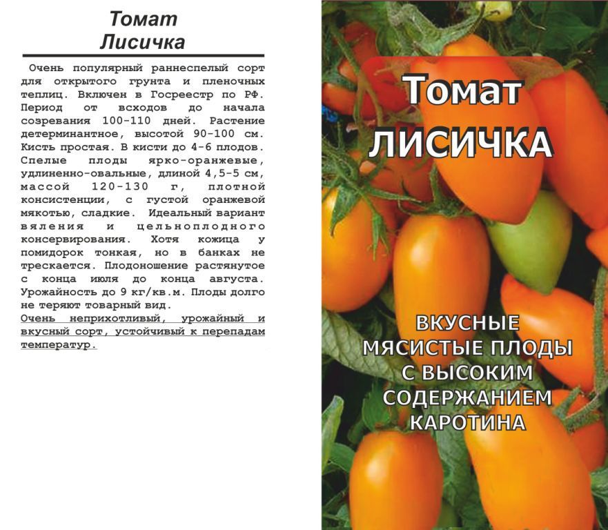 Помидоры лисичка описание сорта. Семена томат Лисичка. Лисичка томат описание. Помидоры сорт Лисичка. Томат Лисичка характеристика.