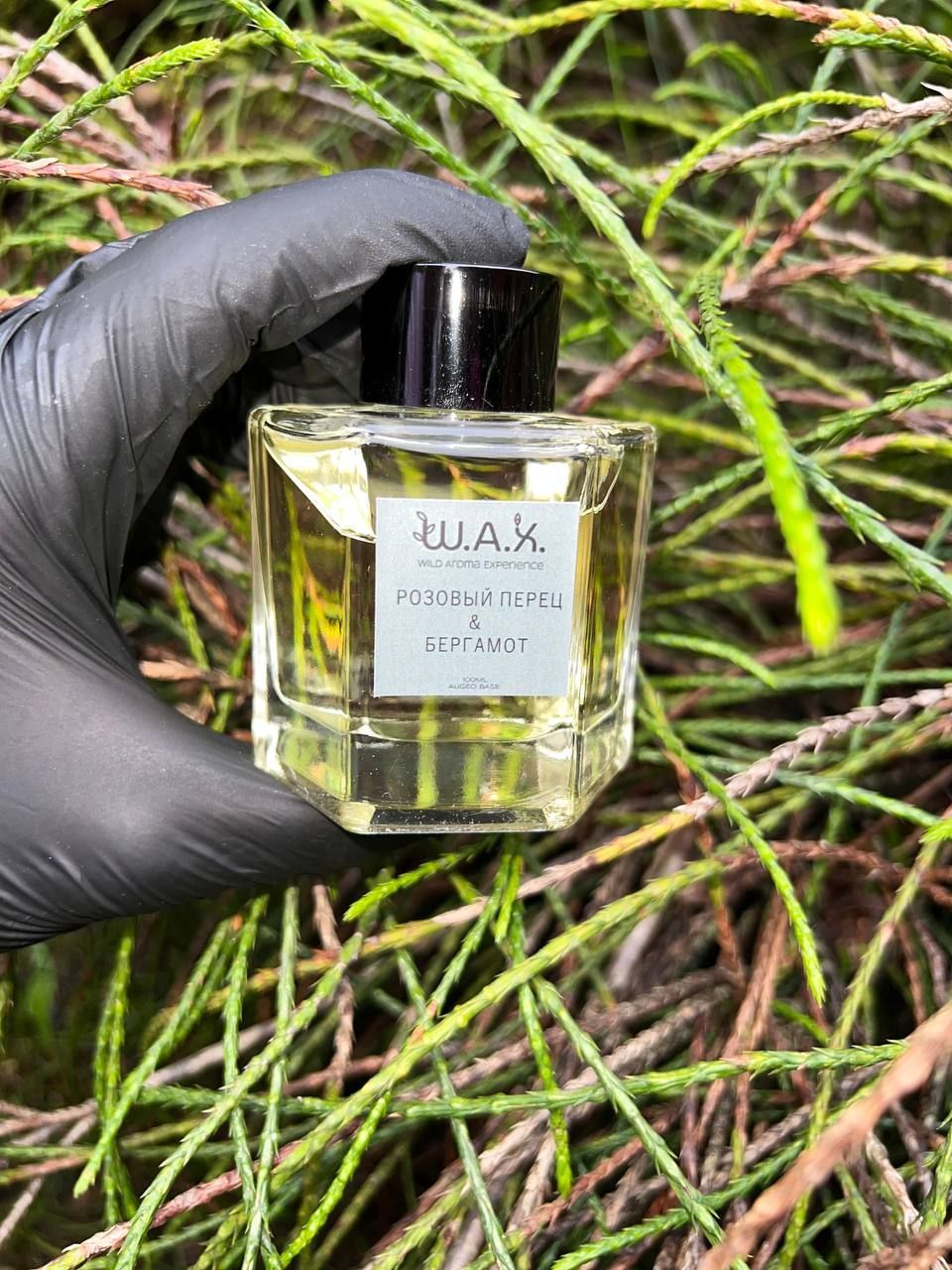 Перец бергамот. Перец бергамот. Tom ford духи унисекс. Бергамот бергамия. Бергамот.