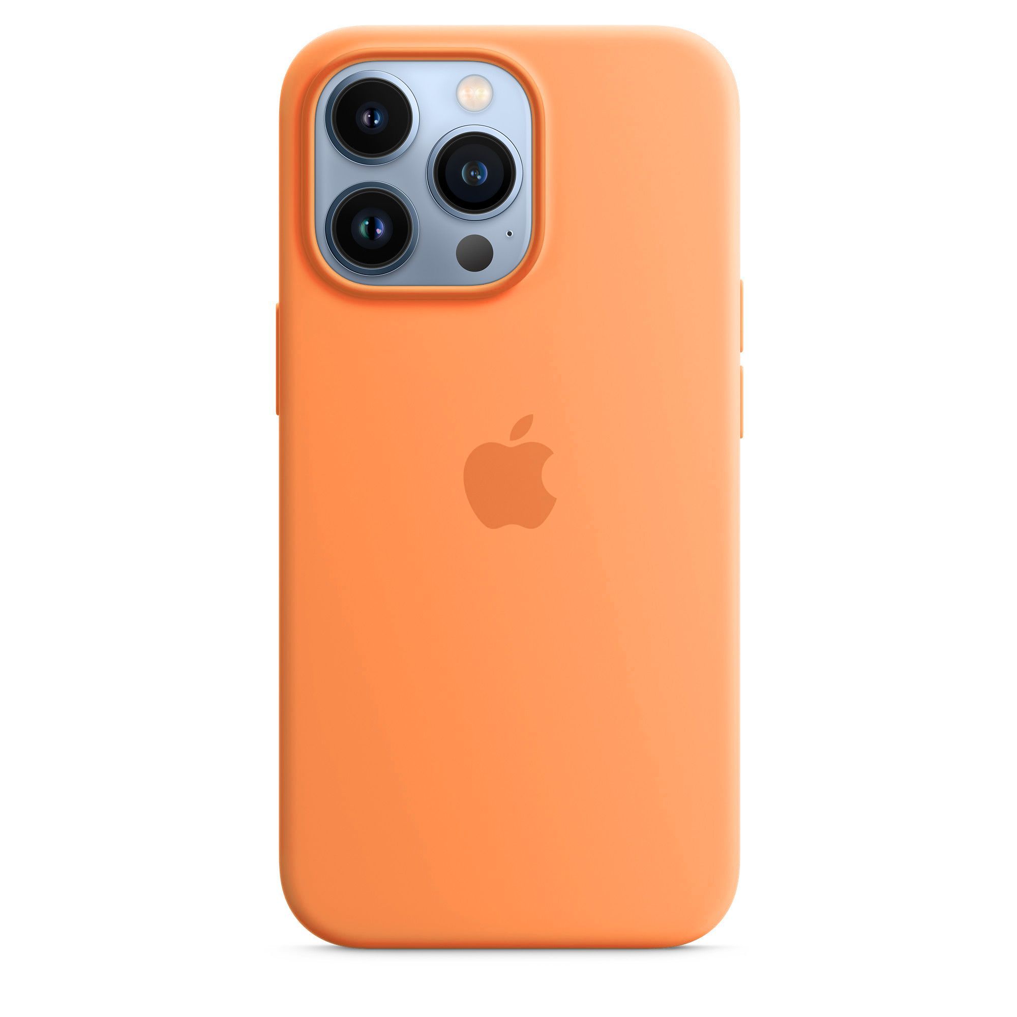 Чехол силиконовый для iPhone 13 Pro / Silicone Case with MagSafe / Анимация  / Marigold - купить с доставкой по выгодным ценам в интернет-магазине OZON  (643493783)