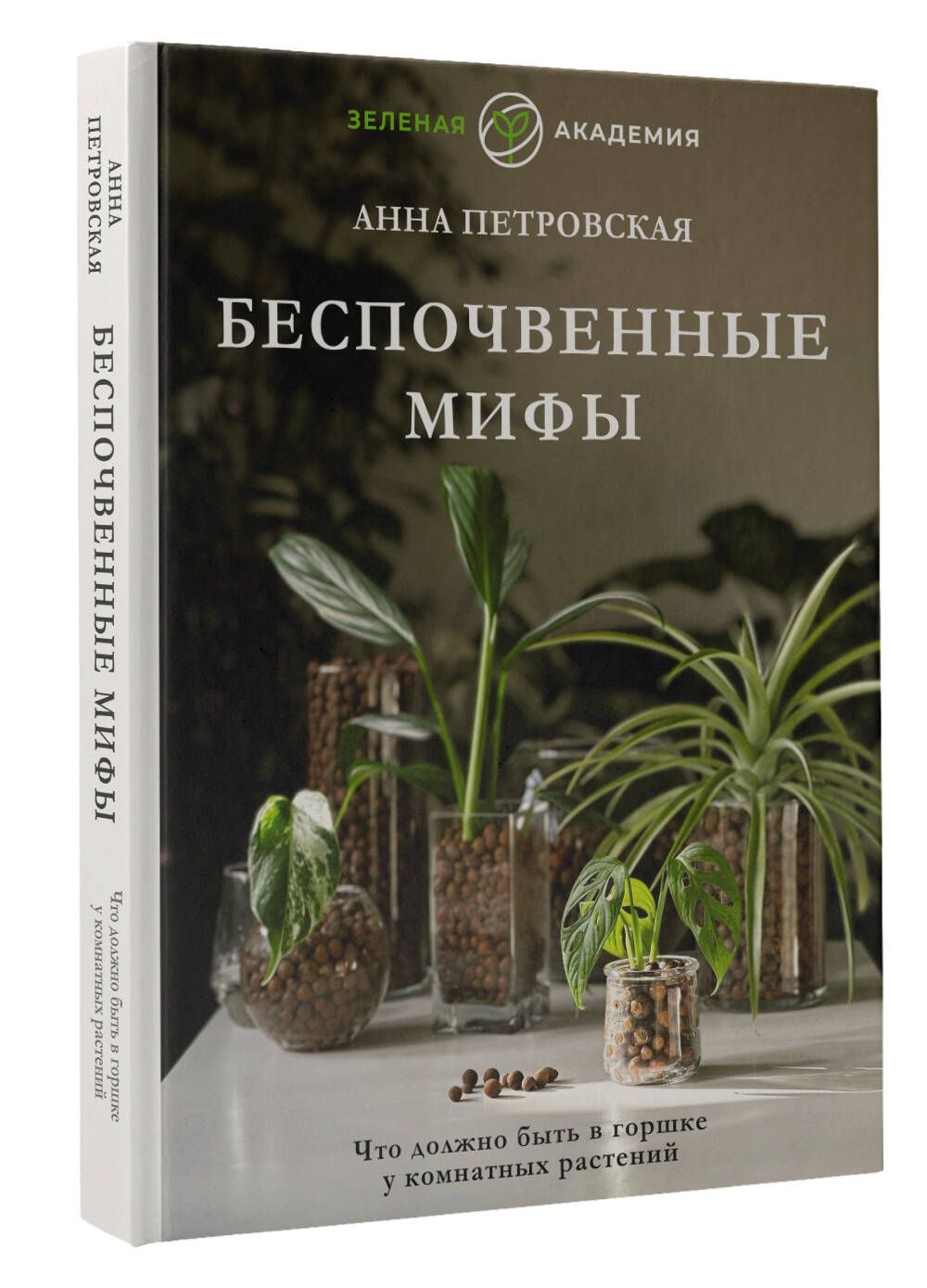 Что должно быть в горшке у комнатных растений. Беспочвенные мифы |  Петровская Анна Вячеславовна - купить с доставкой по выгодным ценам в  интернет-магазине OZON (882513196)