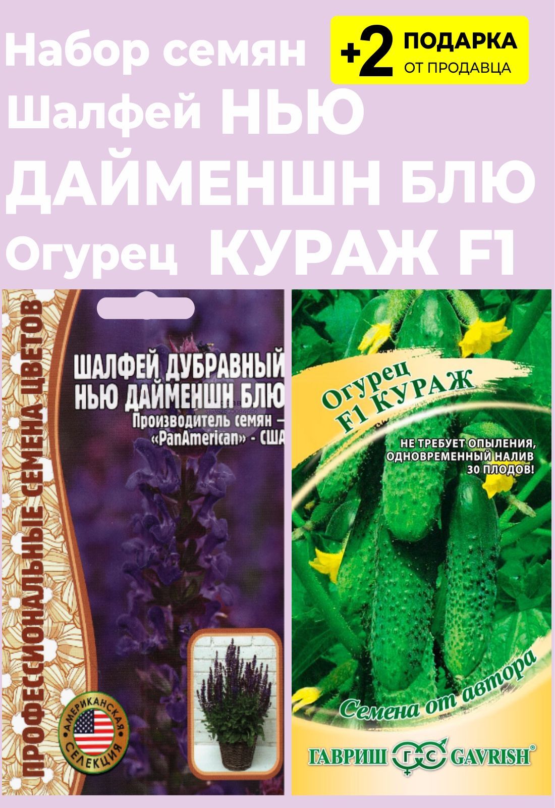 Шалфей Семенами Цена