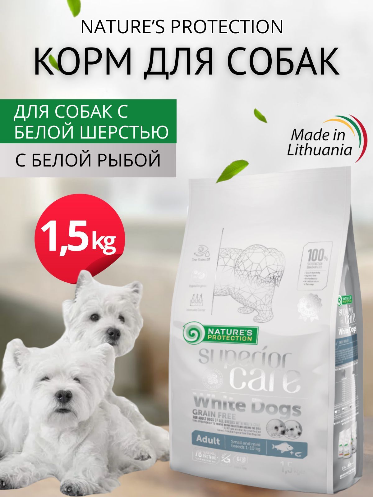 Natures protection white dogs