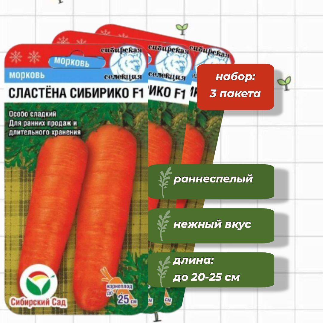 Сластена сибирико. Морковь Сластена Сибирико f1. Морковь Сибирская селекция.
