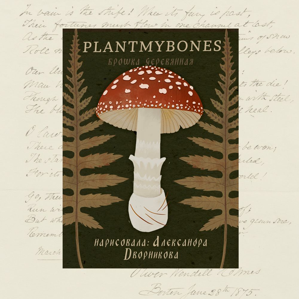 Деревянная брошь PlantMyBones, значок из дерева на замке-булавке с грибами: Мухомор