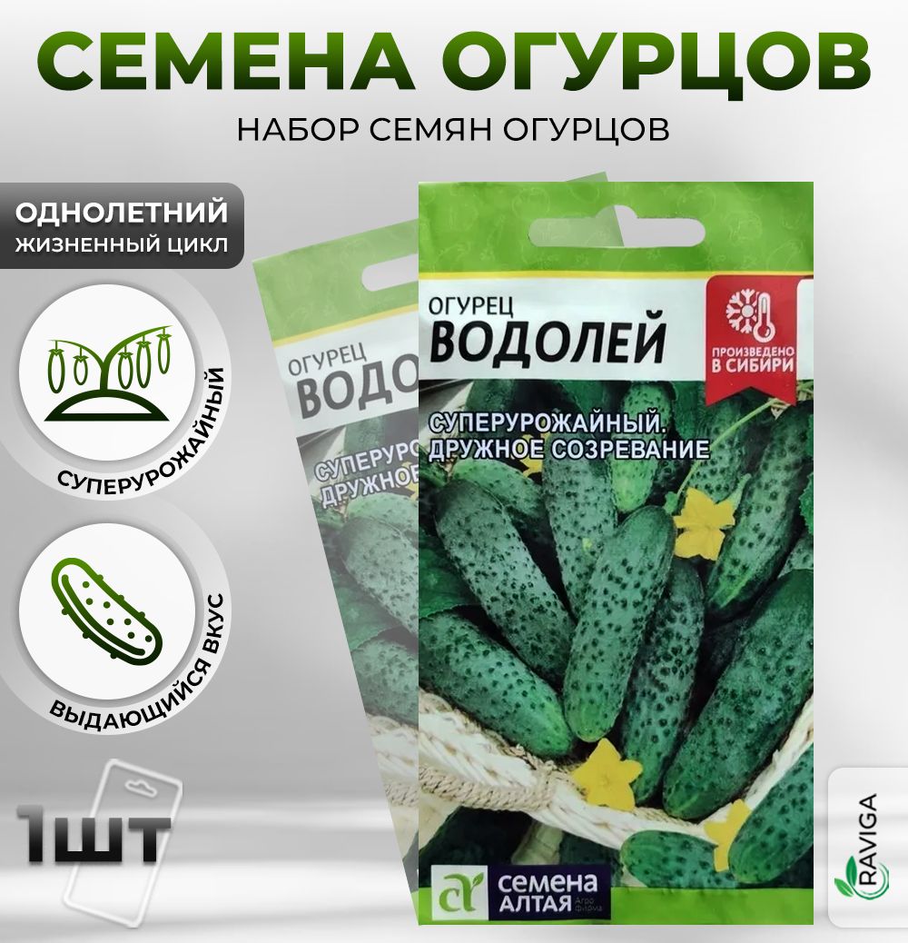 Купить Семена Огурца Кономор