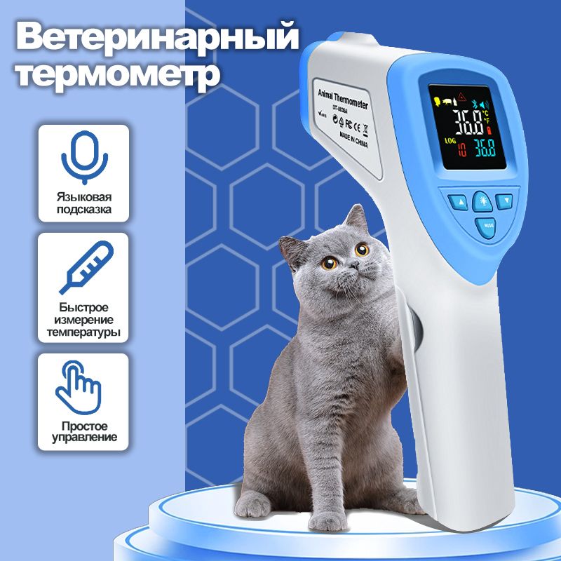 Градусник для собак