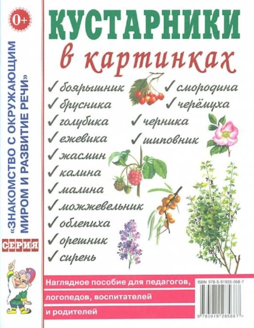 Лето в картинках наглядное пособие для педагогов логопедов воспитателей и родителей